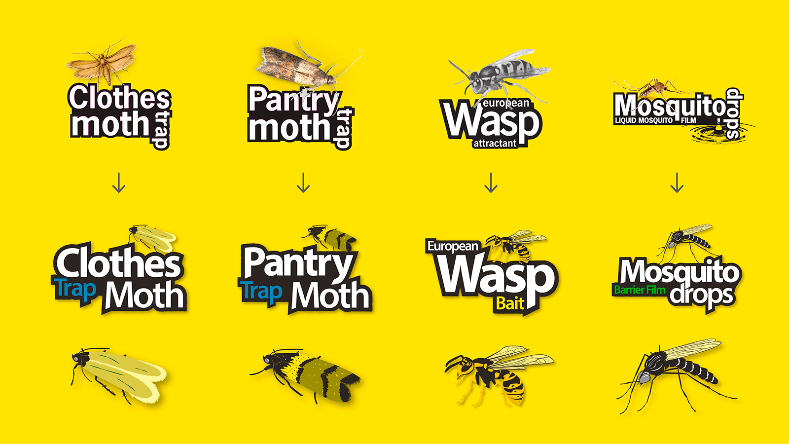 https://www.creativepod.com.au/projects/envirosafe/Graphic-Design-Adelaide-Branding-Envirosafe-Vector-Illustrations-for-Packaging-Insects.png